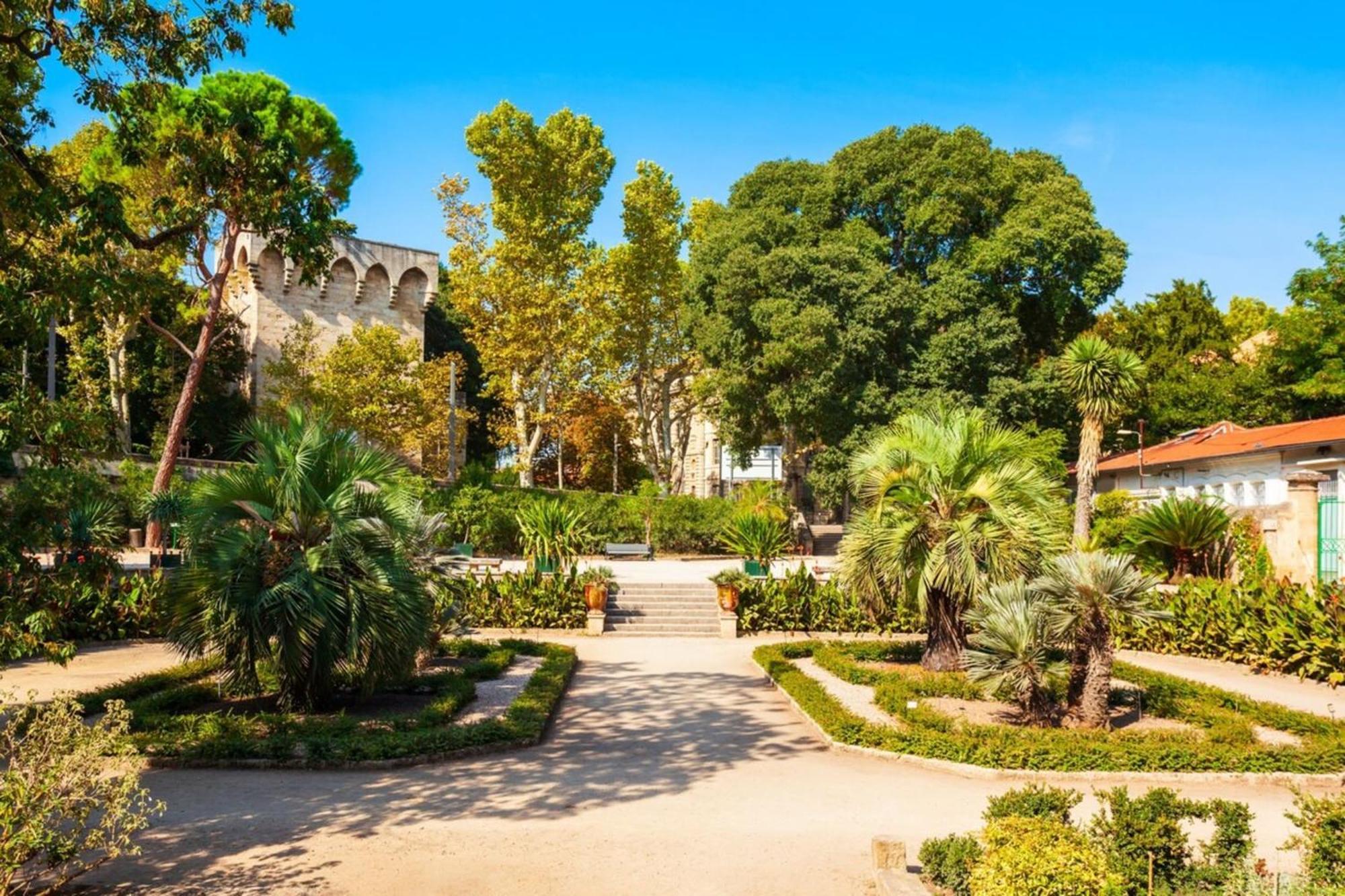 Le Triompha Montpellier Proche Arc De Triomphe Apartment Bagian luar foto